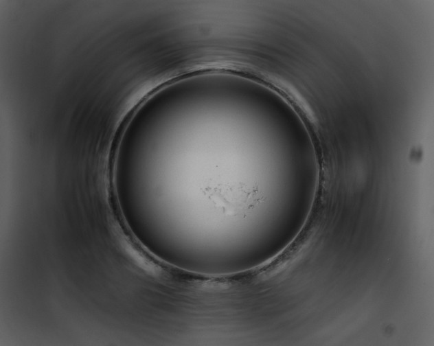 X0000101960890200807181038