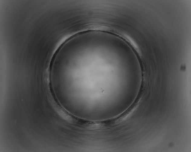 X0000101960891200807181038