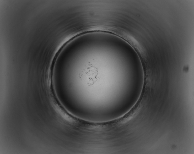 X0000101960892200807181038