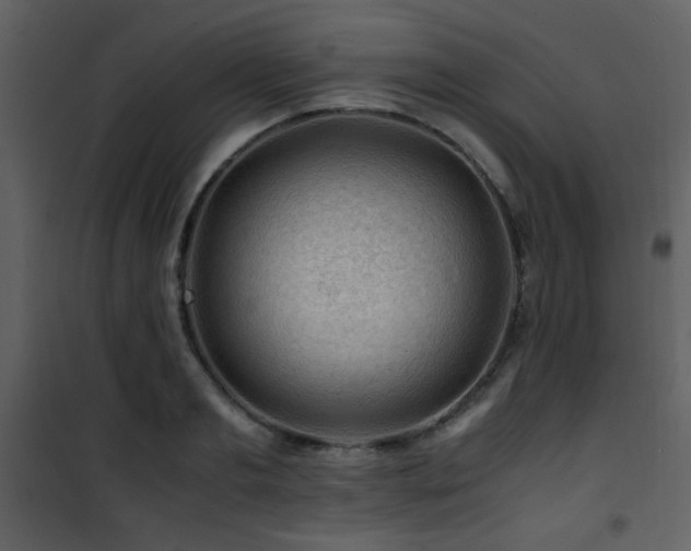 X0000101960893200807181038