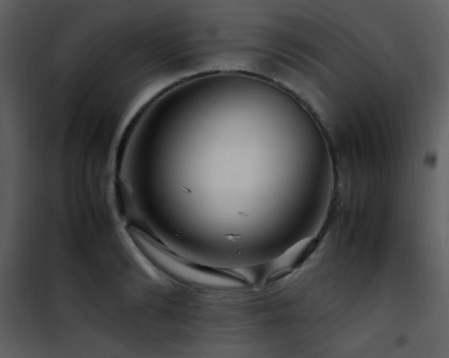 X0000101960894200807181038
