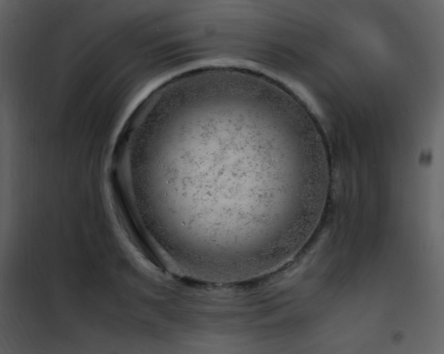 X0000101960895200807181038
