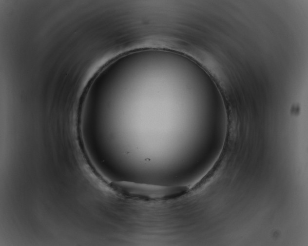 X0000101960896200807181038