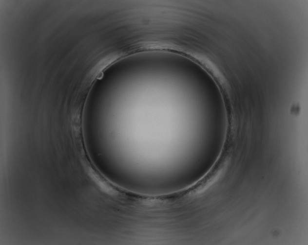 X0000101960897200807181038