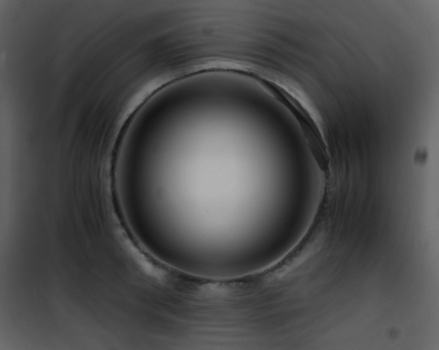 X0000101960898200807181038