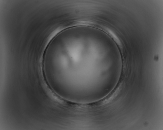 X0000101960899200807181038