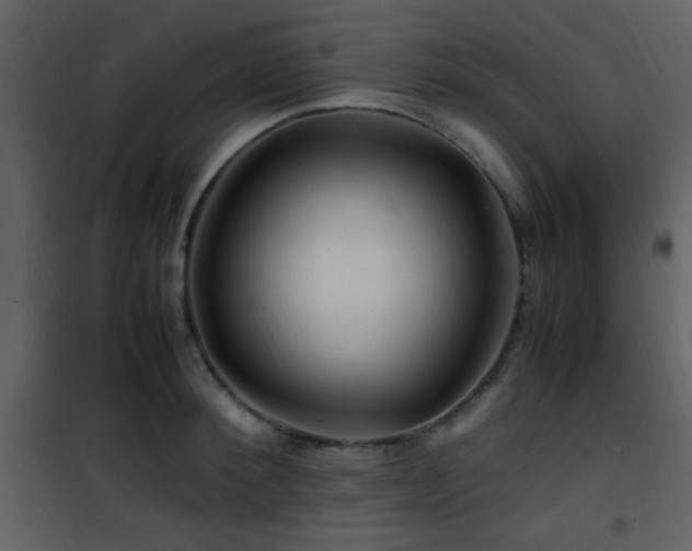 X0000101960900200807181038