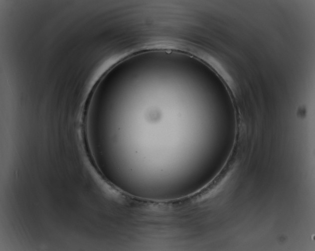 X0000101960901200807181038