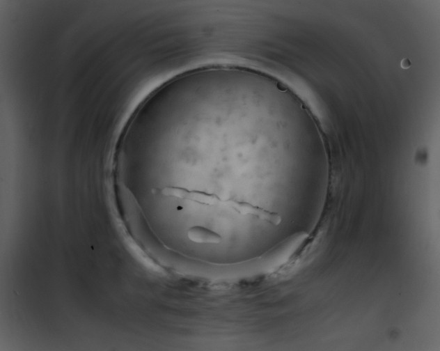 X0000101960903200807181038