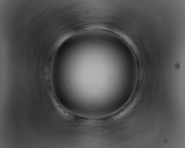 X0000101960905200807181038