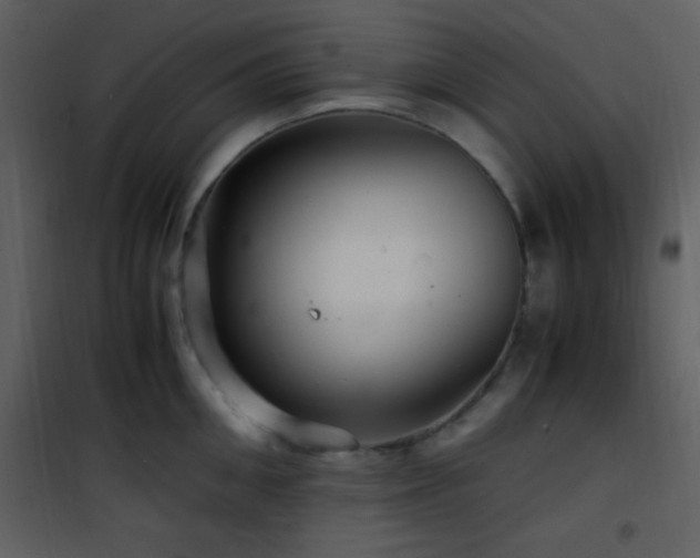X0000101960906200807181038