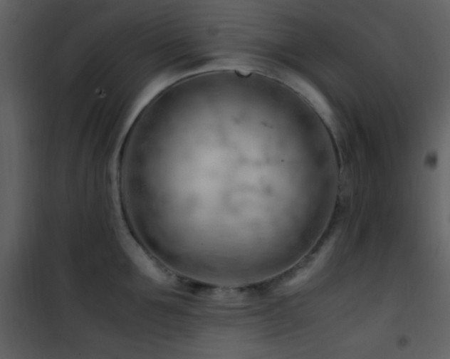 X0000101960907200807181038