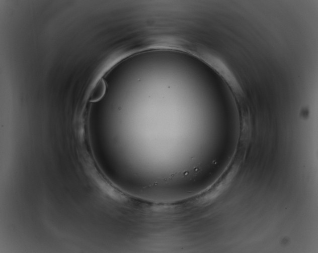 X0000101960908200807181038
