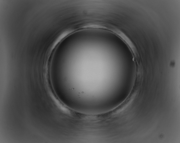 X0000101960909200807181038
