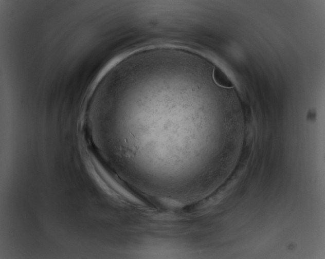 X0000101960911200807181038
