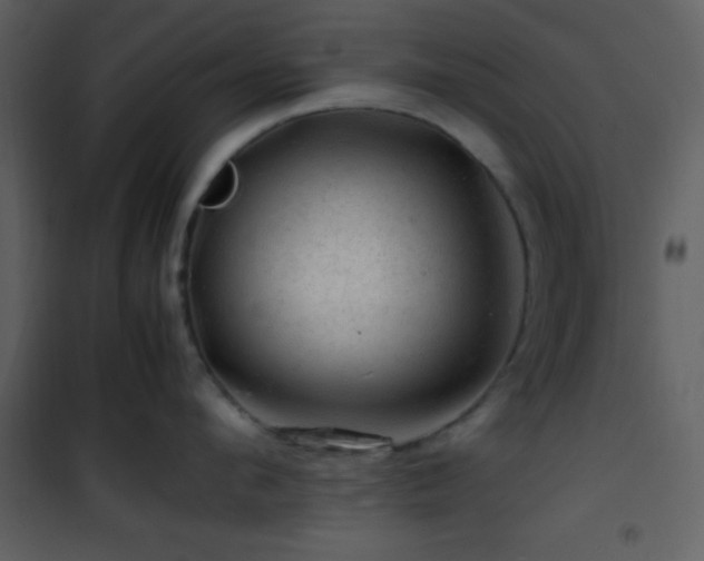 X0000101960912200807181038