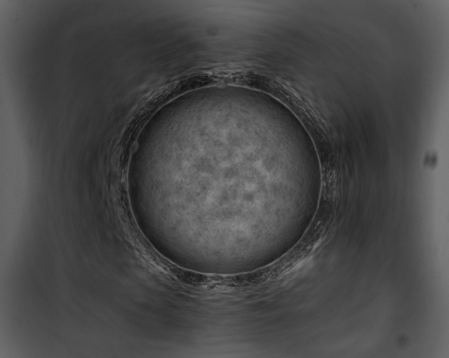 X0000101960913200807181037