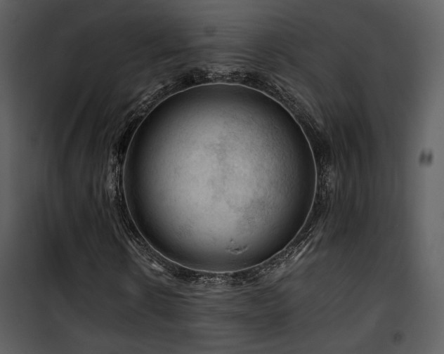 X0000101960914200807181037