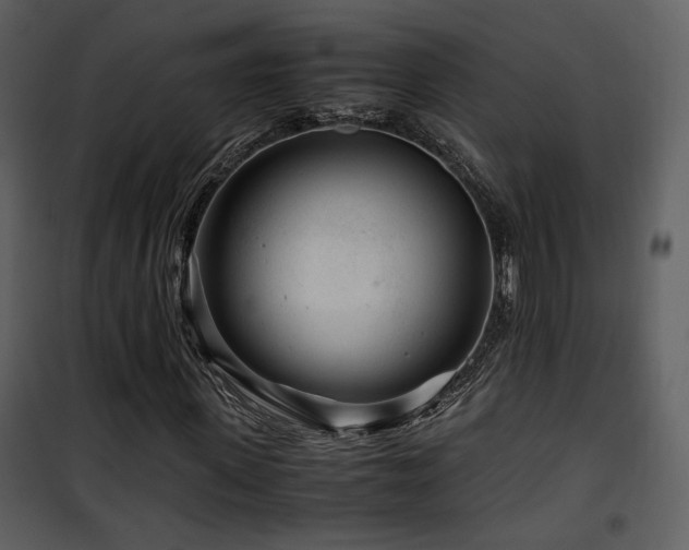 X0000101960915200807181037