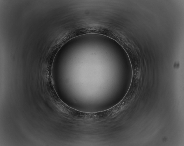 X0000101960916200807181037