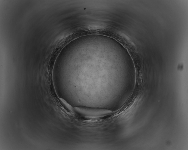 X0000101960917200807181037
