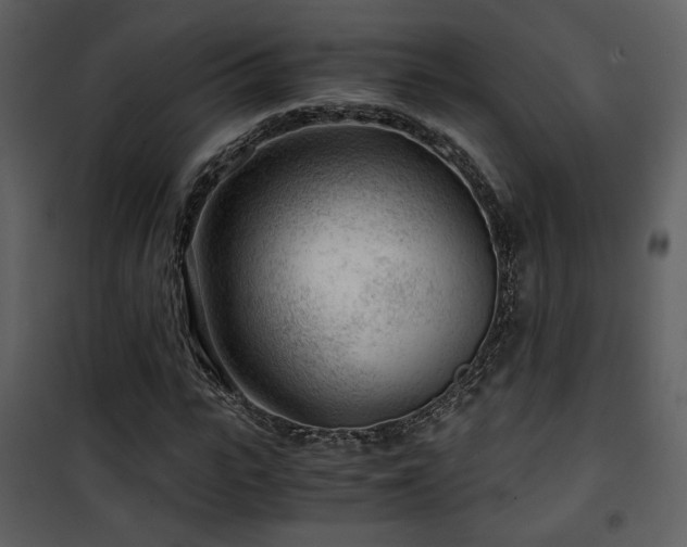 X0000101960919200807181037