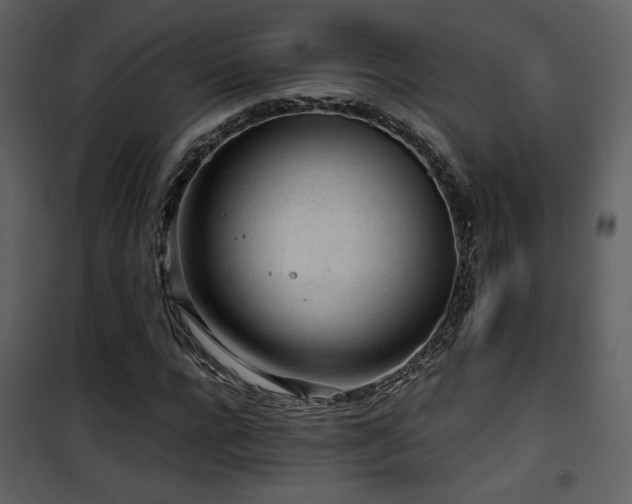 X0000101960920200807181037