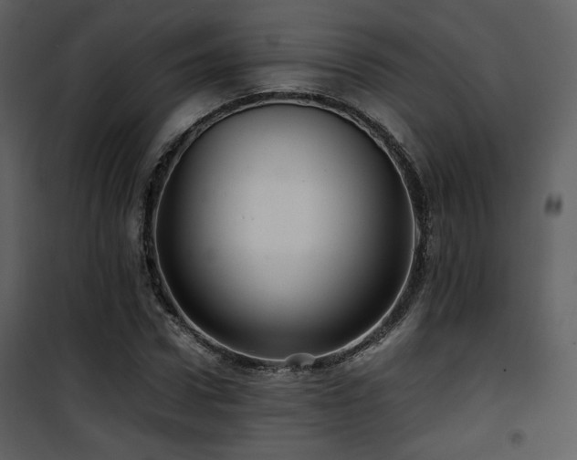 X0000101960922200807181037