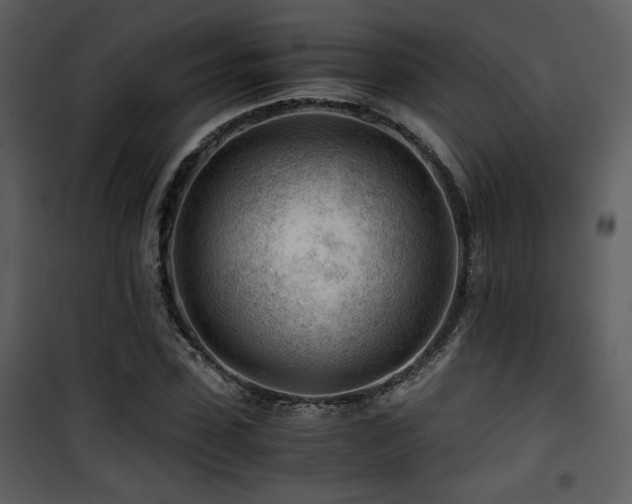 X0000101960923200807181037