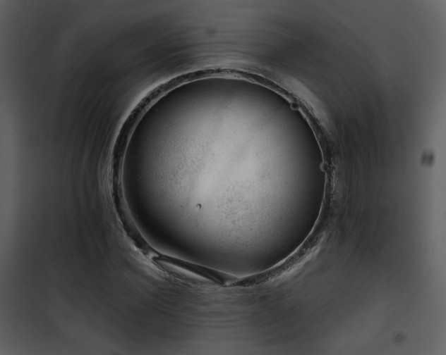 X0000101960924200807181037
