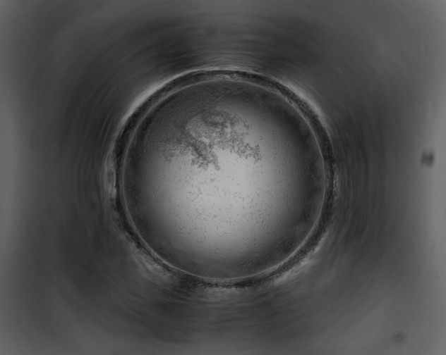 X0000101960925200807181037