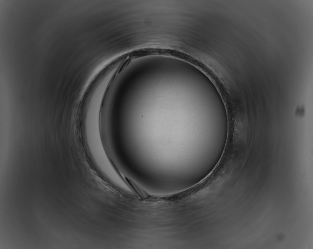 X0000101960926200807181037