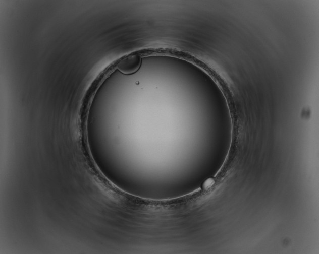 X0000101960927200807181037