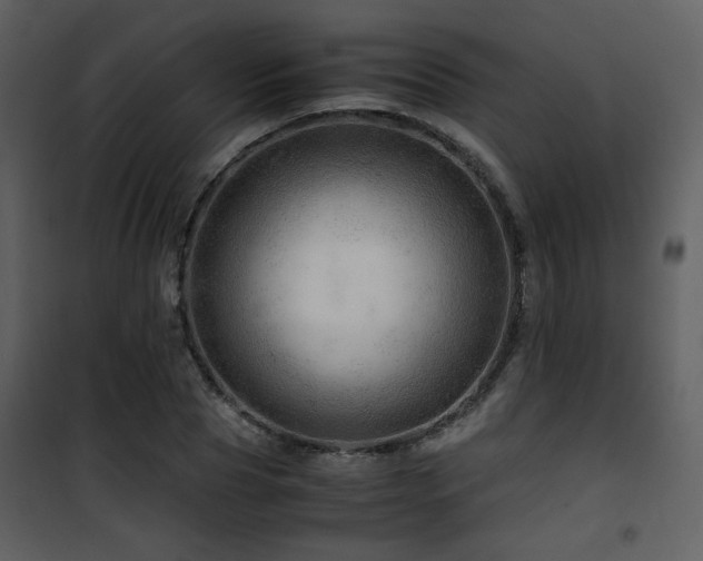 X0000101960929200807181037