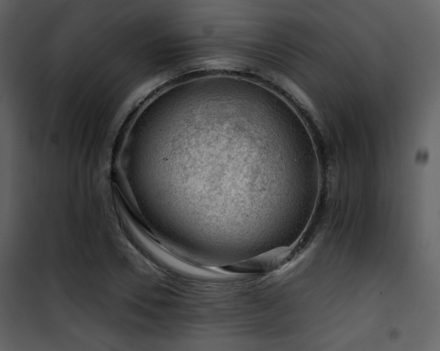 X0000101960930200807181037