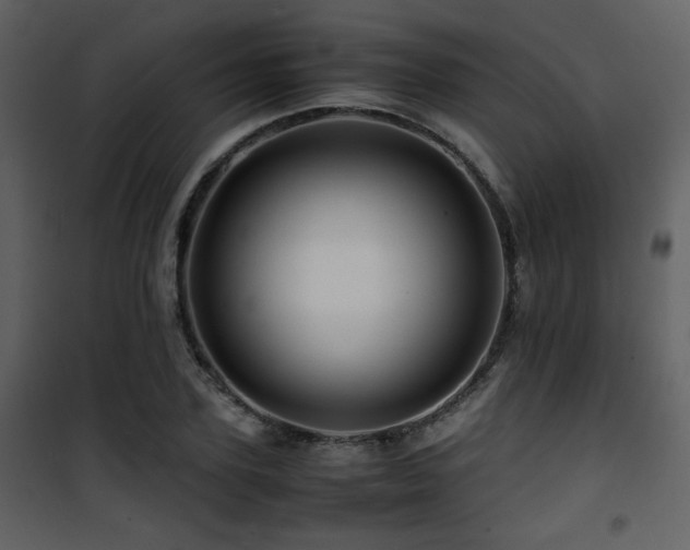 X0000101960931200807181037