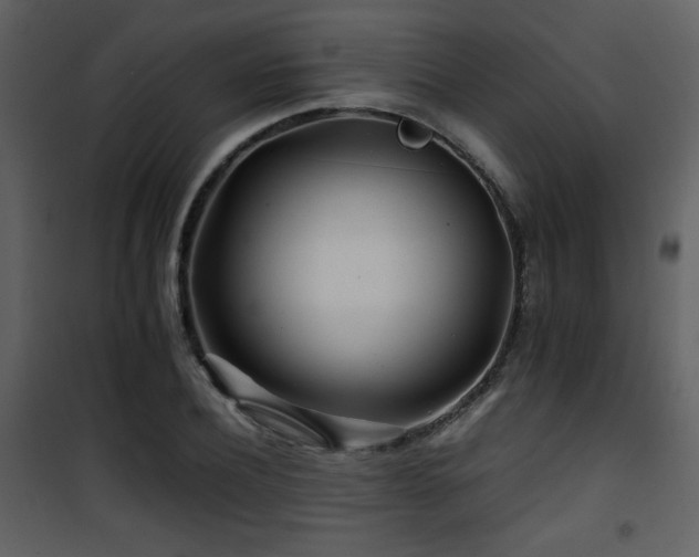 X0000101960932200807181037
