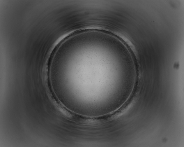 X0000101960933200807181037
