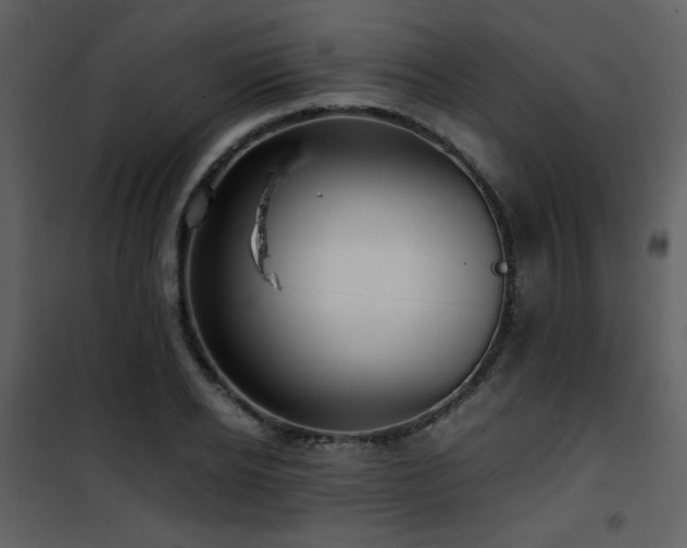 X0000101960934200807181037
