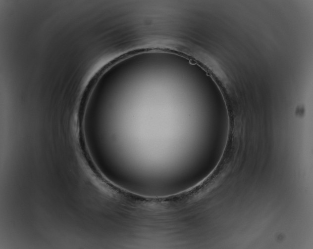 X0000101960936200807181037