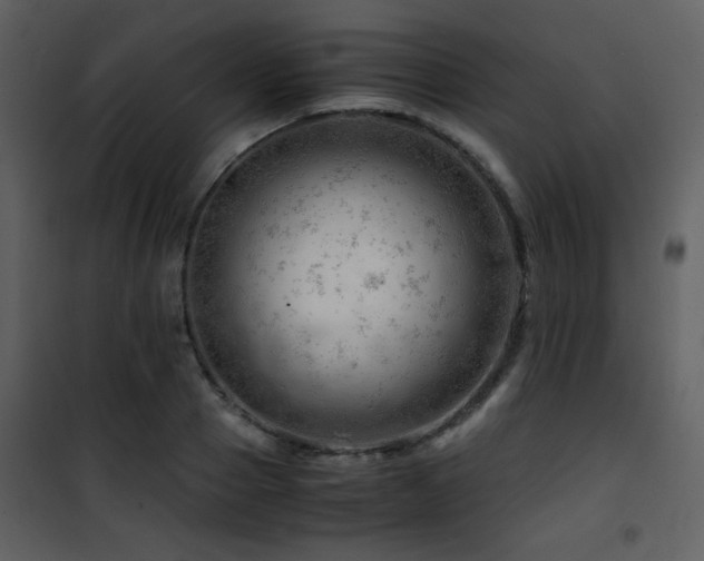 X0000101960937200807181037