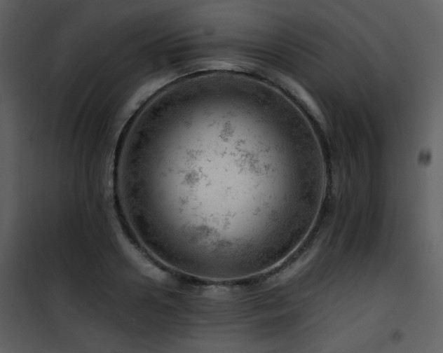 X0000101960938200807181037