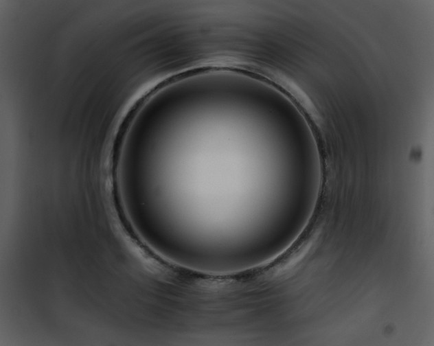 X0000101960939200807181037