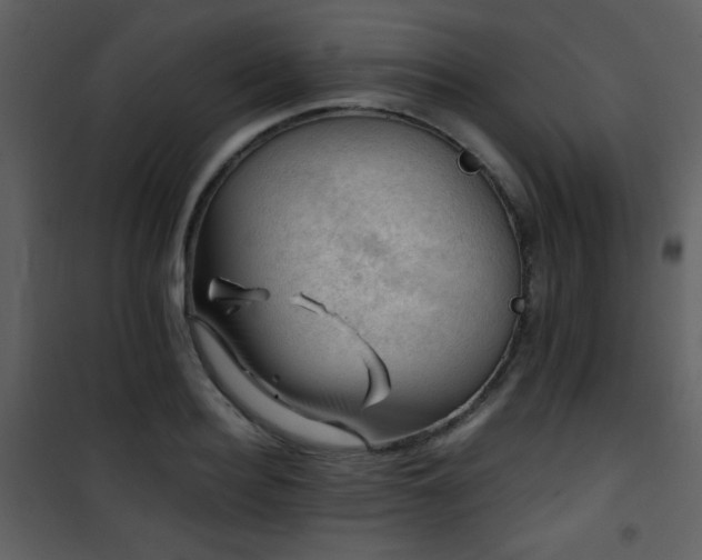 X0000101960940200807181037