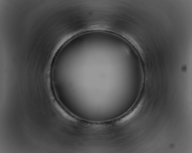 X0000101960941200807181037