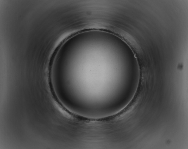 X0000101960942200807181037