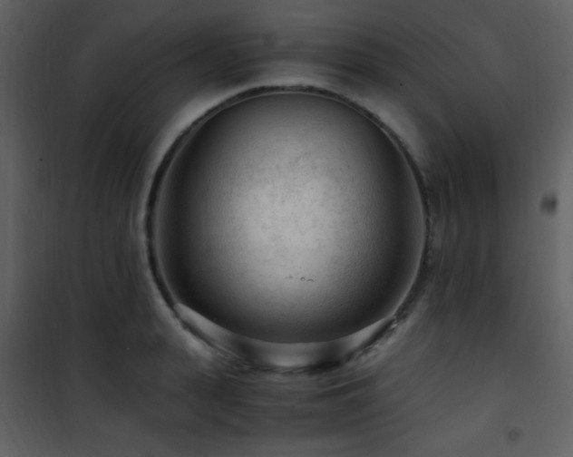 X0000101960943200807181037