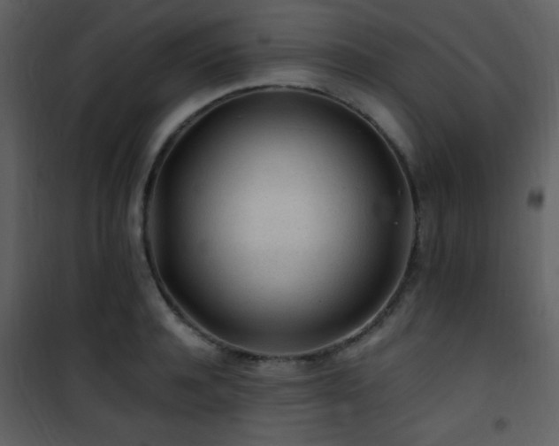 X0000101960944200807181037