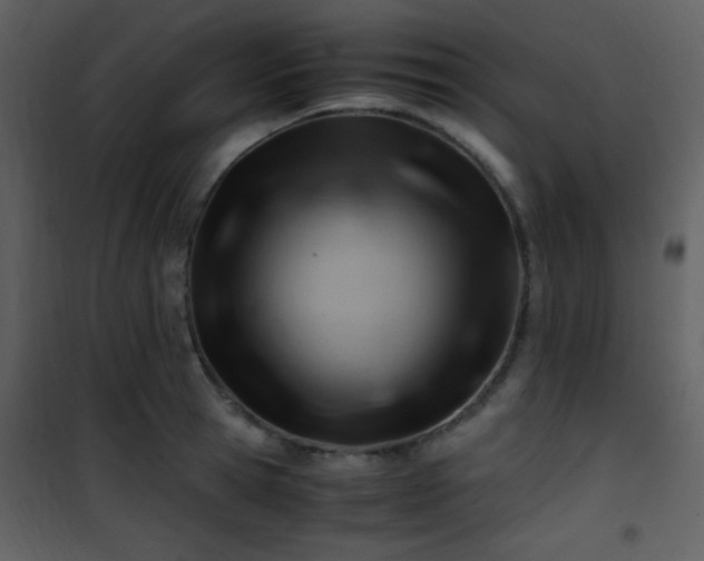 X0000101960945200807181037