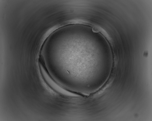 X0000101960946200807181037